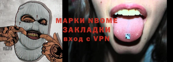 хмурый Елизово
