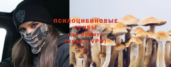 шишки Елабуга