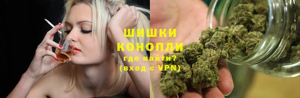 хмурый Елизово