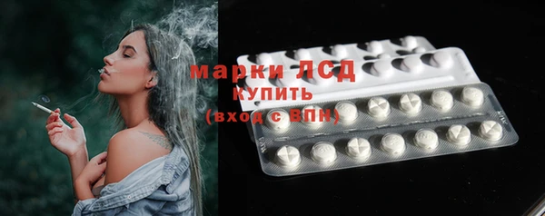 шишки Елабуга