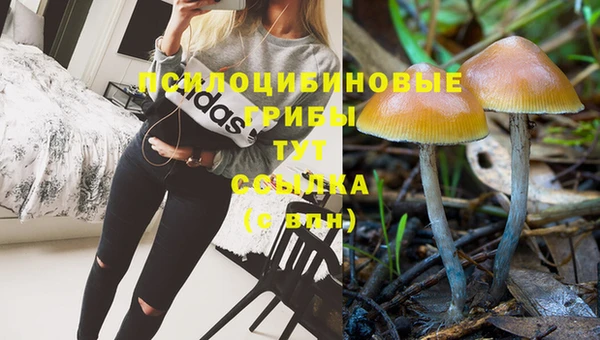 шишки Елабуга