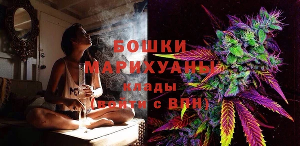 хмурый Елизово