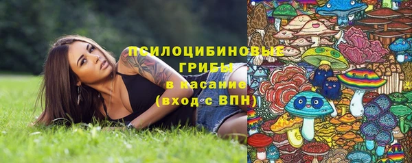 гидропоника Ельня