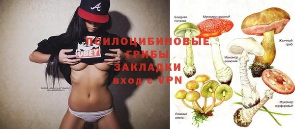 хмурый Елизово