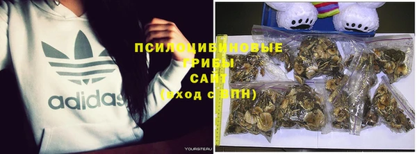 хмурый Елизово